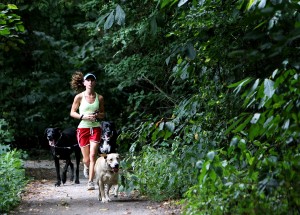 Malo Overtonpark Safety