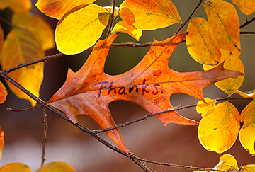 Overton Park Conservancy Gives Thanks