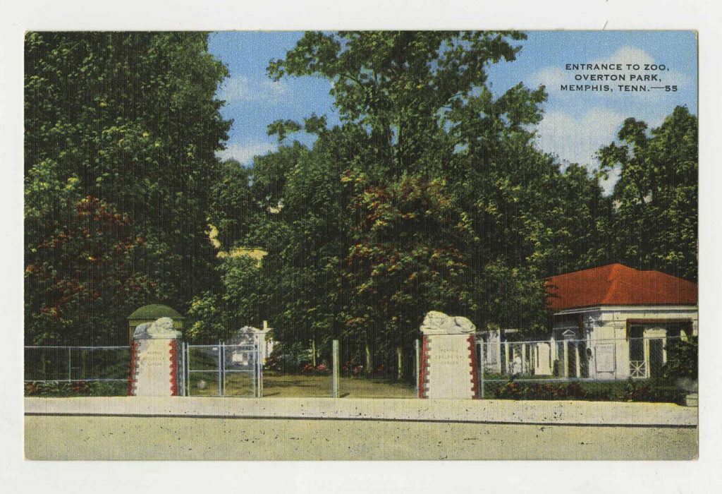 Memphis Zoo Archives - Overton Park