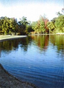Cassandra Johnson's photo of Rainbow Lake