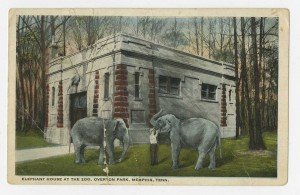 The zoo's elephant house