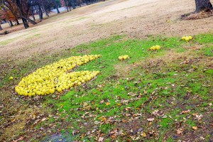 Pac-Man at Overton Park