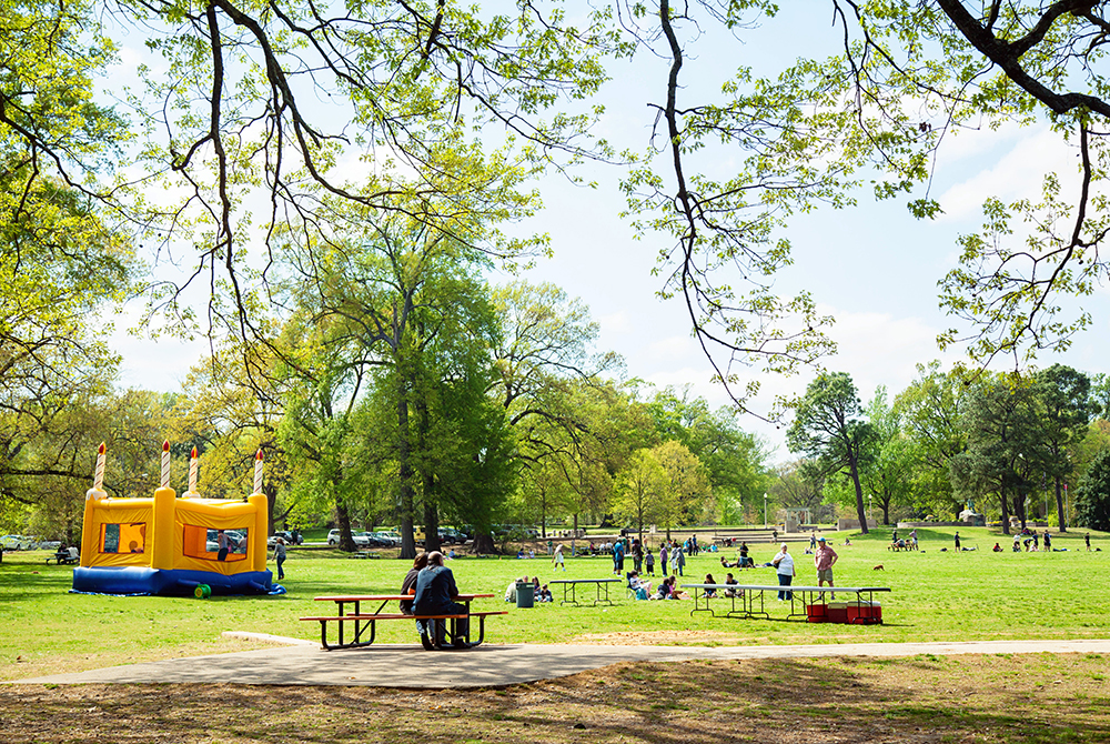 Busy Day At The Greensward