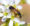 #NatureZen: Welcome Back, Bees