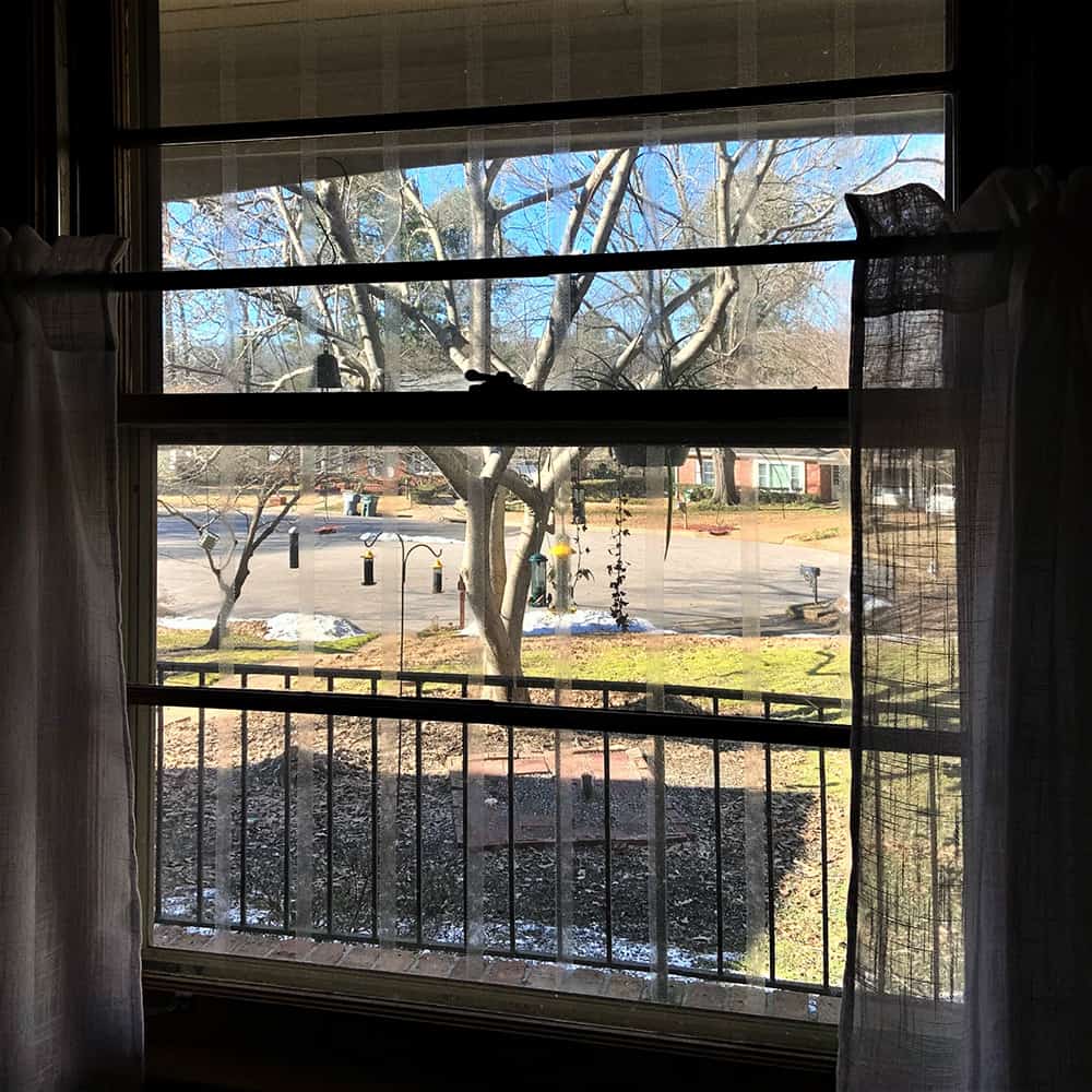 Windows striped to avoid bird collisions