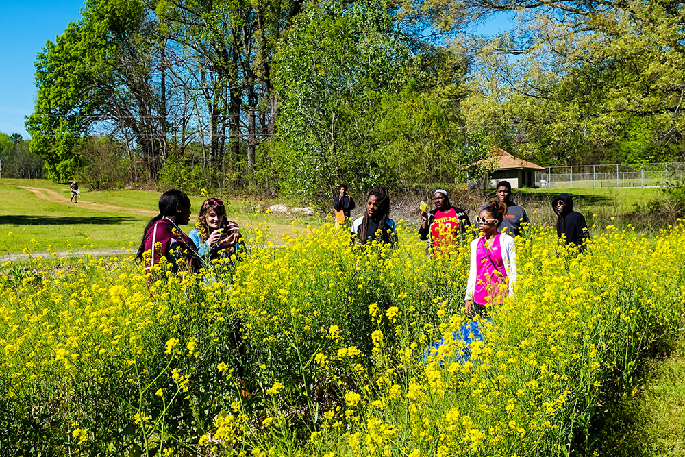 Students amid a field of bright yellow mustard plants
