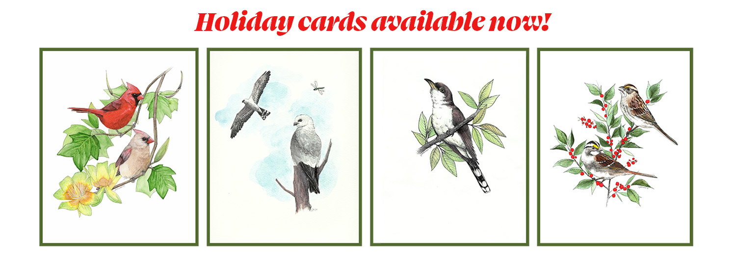 2024 holiday cards featuring birds of Overton Park