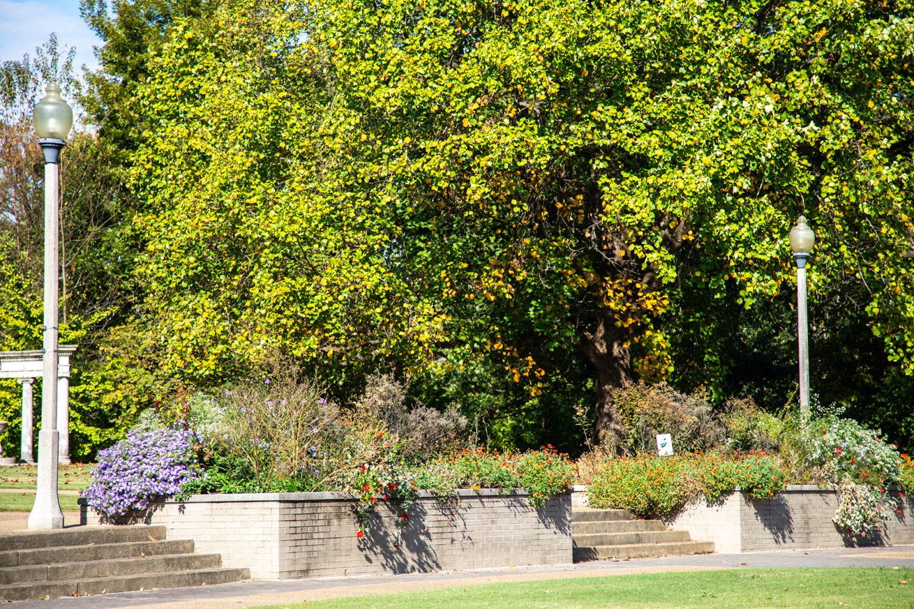 View of two concrete garden beds with purple, white, and red flowers