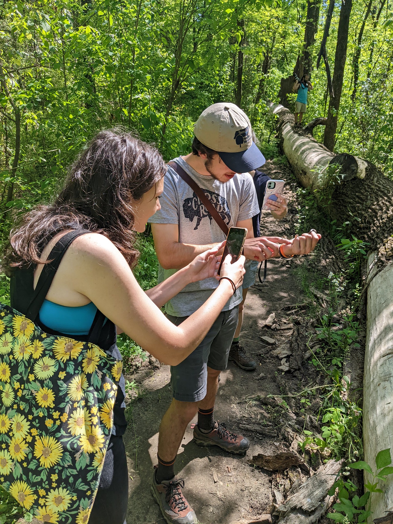 City Nature Challenge