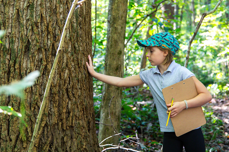 Kid Touching Tree