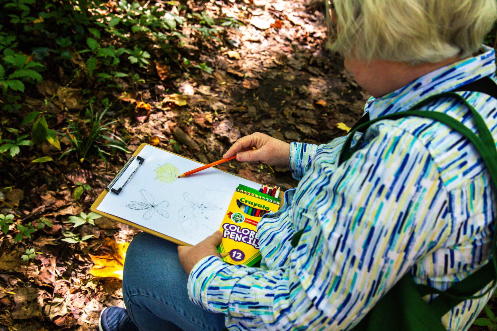 Women With Tulip Poplar Nj