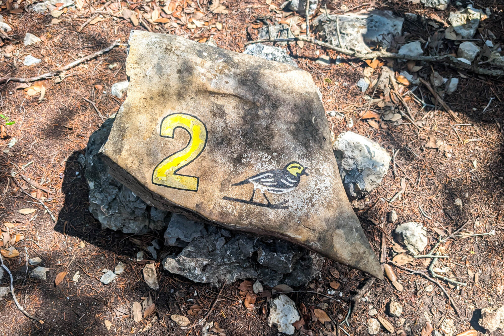 A rock with the number 2 and a bird painted on it